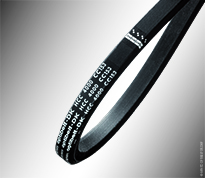 Hexagonal-double straps